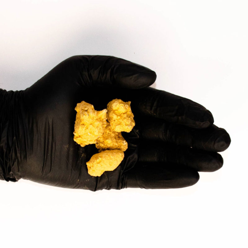 cbd-gras-golden-buds-in-einer-hand-mit-schwarzen-handschuh